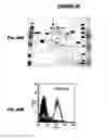 Fig. 47 - IMMUNIZATION AGAINST CHLAMYDIA PNEUMONIAE