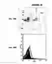 Fig. 71 - IMMUNIZATION AGAINST CHLAMYDIA PNEUMONIAE
