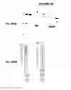 Fig. 90 - IMMUNIZATION AGAINST CHLAMYDIA PNEUMONIAE