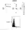 Fig. 97 - IMMUNIZATION AGAINST CHLAMYDIA PNEUMONIAE