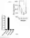 Fig. 05 - S. AUREUS ALLERGEN
