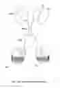 Fig. 02 - Modified antibody