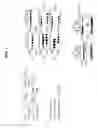 Fig. 02 - Method of preparing live viral vaccines by genetic engineering of viral genome
