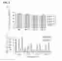 Fig. 04 - Method of preparing live viral vaccines by genetic engineering of viral genome