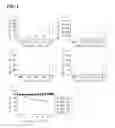 Fig. 07 - Method of preparing live viral vaccines by genetic engineering of viral genome