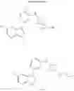 Fig. 129 - INHIBITORS OF INFLUENZA VIRUSES REPLICATION