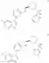 Fig. 228 - INHIBITORS OF INFLUENZA VIRUSES REPLICATION
