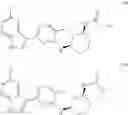 Fig. 323 - INHIBITORS OF INFLUENZA VIRUSES REPLICATION
