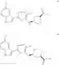 Fig. 359 - INHIBITORS OF INFLUENZA VIRUSES REPLICATION