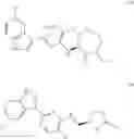 Fig. 376 - INHIBITORS OF INFLUENZA VIRUSES REPLICATION