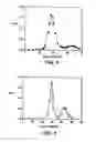 Fig. 04 - NOVEL PROTEINS WITHIN THE TYPE E BOTULINUM NEUROTOXIN COMPLEX