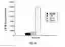 Fig. 09 - COMPOUNDS AND METHODS FOR IMMUNOTHERAPY AND DIAGNOSIS OF TUBERCULOSIS