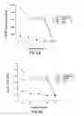 Fig. 12 - COMPOUNDS AND METHODS FOR IMMUNOTHERAPY AND DIAGNOSIS OF TUBERCULOSIS