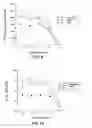 Fig. 13 - COMPOUNDS AND METHODS FOR IMMUNOTHERAPY AND DIAGNOSIS OF TUBERCULOSIS