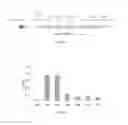 Fig. 07 - Fibromodulin peptide
