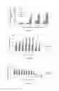 Fig. 09 - Fibromodulin peptide