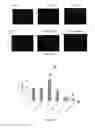 Fig. 13 - Fibromodulin peptide