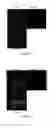 Fig. 17 - Fibromodulin peptide