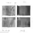 Fig. 04 - SUBSTRATE  IMPREGNATED WITH SPRAYED CLAY, AND METHOD FOR MANUFACTURING SAME