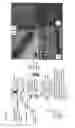 Fig. 02 - Modular Assembly of Tissue Engineered Constructs