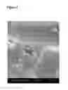 Fig. 06 - Modular Assembly of Tissue Engineered Constructs