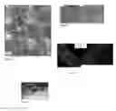 Fig. 08 - Modular Assembly of Tissue Engineered Constructs