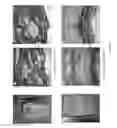 Fig. 11 - SILK FIBROIN HYDROGELS AND USES THEREOF