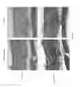 Fig. 12 - SILK FIBROIN HYDROGELS AND USES THEREOF