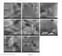Fig. 17 - SILK FIBROIN HYDROGELS AND USES THEREOF