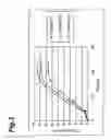 Fig. 04 - Percutaneous absorption type plaster