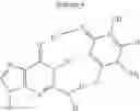 Fig. 10 - STRONGLY BOUND BASE-MODIFIED OLIGONUCLEOTIDES