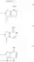 Fig. 11 - STRONGLY BOUND BASE-MODIFIED OLIGONUCLEOTIDES