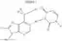 Fig. 13 - STRONGLY BOUND BASE-MODIFIED OLIGONUCLEOTIDES