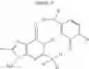 Fig. 16 - STRONGLY BOUND BASE-MODIFIED OLIGONUCLEOTIDES