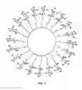 Fig. 04 - Peptide-carrying nanoparticles