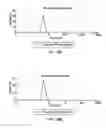 Fig. 14 - Peptide-carrying nanoparticles