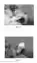 Fig. 07 - USE OF PHARMACEUTICAL COMPOSITIONS IN PREPARING PHARMACEUTICALS FOR TREATING DIABETIC ULCER