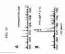 Fig. 23 - Compositions for inhibiting redox-sensitive GTPases
