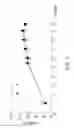 Fig. 03 - Active substance for improving hyperlipidemia and hypercholesterolemia