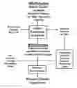 Fig. 01 - DAIRY PRODUCT AND PROCESS