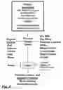 Fig. 05 - DAIRY PRODUCT AND PROCESS