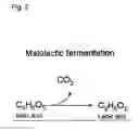 Fig. 03 - Probiotic juice drink