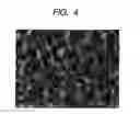 Fig. 04 - Optical member, optical system using the optical member, and method of manufacturing an optical member