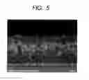 Fig. 05 - Optical member, optical system using the optical member, and method of manufacturing an optical member