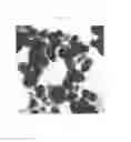 Fig. 03 - ENCAPSULATION OF PIGMENTS WITH POLYMER LATEX PREPARED BY MINI-EMULSION POLYMERIZATION