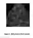Fig. 03 - Binary and ternary metal chalcogenide materials and method of making and using same