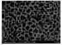 Fig. 01 - Optical Films with Controlled Surface Morphology and the Method of Manufacturing the Same