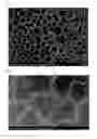 Fig. 02 - Optical Films with Controlled Surface Morphology and the Method of Manufacturing the Same