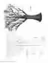 Fig. 02 - Three-dimensional branching structures and methods for making and using same
