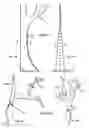 Fig. 04 - Three-dimensional branching structures and methods for making and using same